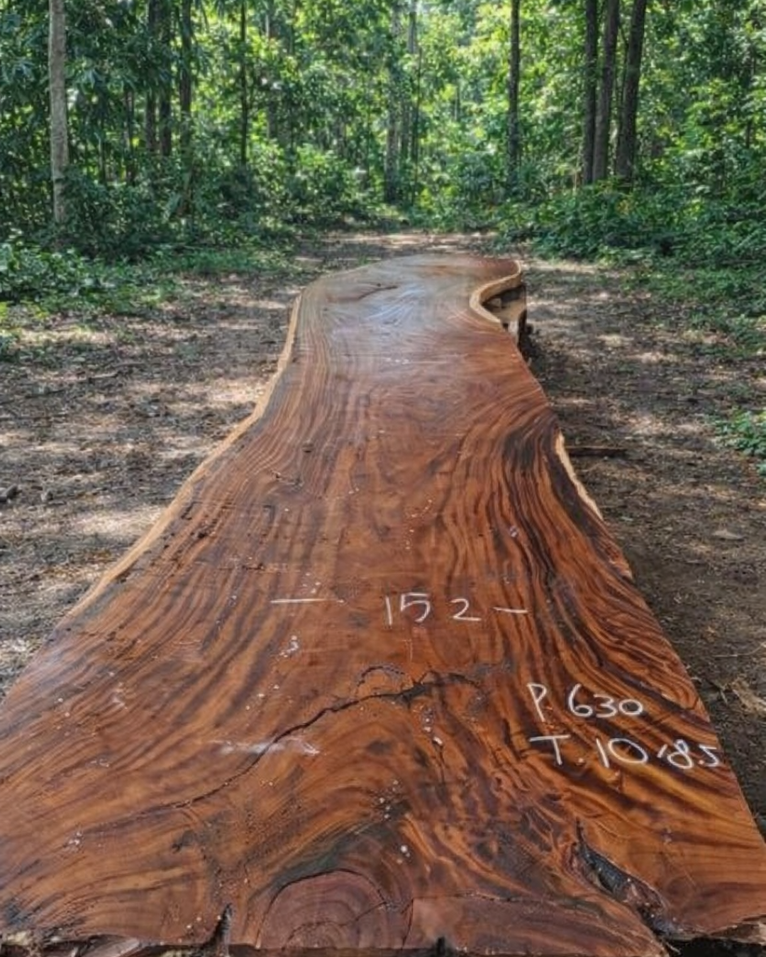Monkeypod Live Edge Slab Dining Table